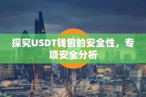 探究USDT钱包的安全性，专项安全分析