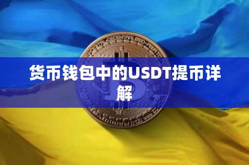 货币钱包中的USDT提币详解