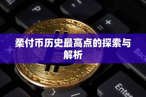 柔付币历史最高点的探索与解析