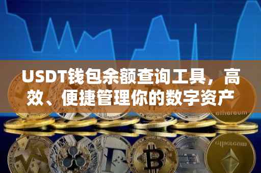 USDT钱包余额查询工具，高效、便捷管理你的数字资产