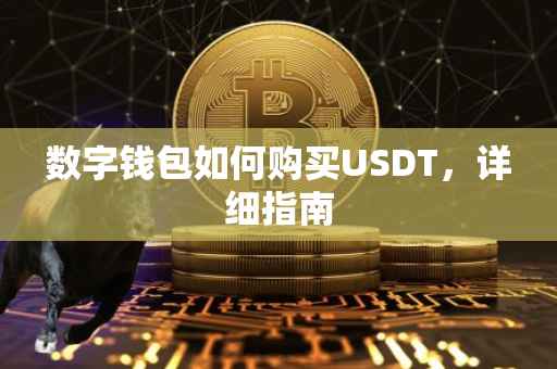 数字钱包如何购买USDT，详细指南