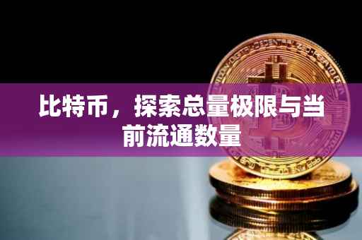 比特币，探索总量极限与当前流通数量
