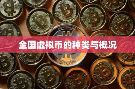 全国虚拟币的种类与概况