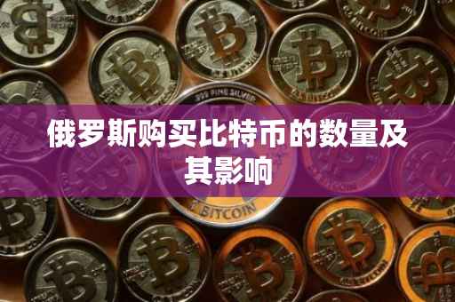 俄罗斯购买比特币的数量及其影响