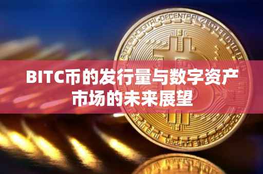 BITC币的发行量与数字资产市场的未来展望