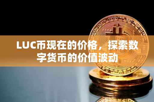 LUC币现在的价格，探索数字货币的价值波动