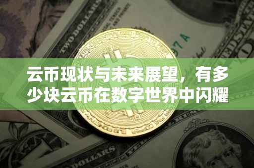 云币现状与未来展望，有多少块云币在数字世界中闪耀？