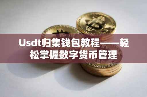 Usdt归集钱包教程——轻松掌握数字货币管理