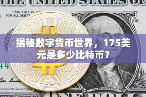 揭秘数字货币世界，175美元是多少比特币？