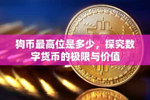 狗币最高位是多少，探究数字货币的极限与价值