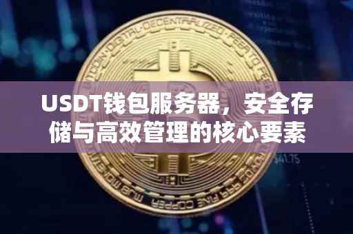 USDT钱包服务器，安全存储与高效管理的核心要素