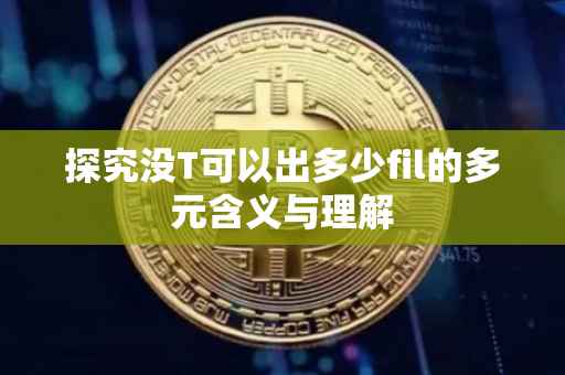 探究没T可以出多少fil的多元含义与理解
