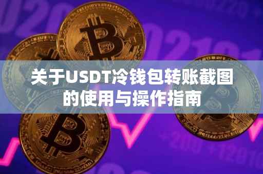 关于USDT冷钱包转账截图的使用与操作指南