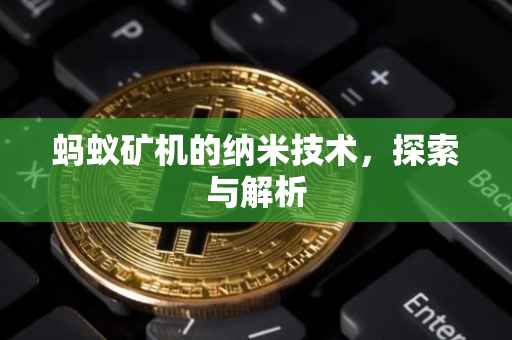 蚂蚁矿机的纳米技术，探索与解析
