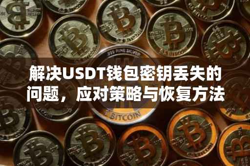 解决USDT钱包密钥丢失的问题，应对策略与恢复方法
