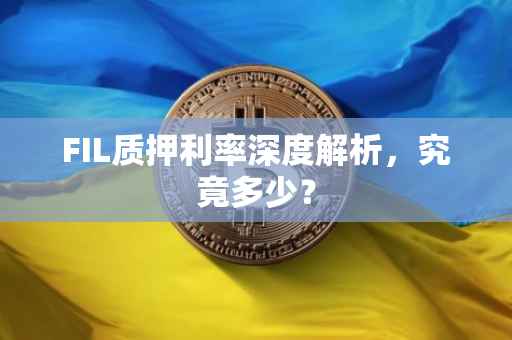 FIL质押利率深度解析，究竟多少？