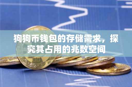 狗狗币钱包的存储需求，探究其占用的兆数空间