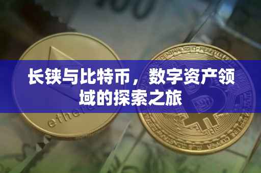 长铗与比特币，数字资产领域的探索之旅