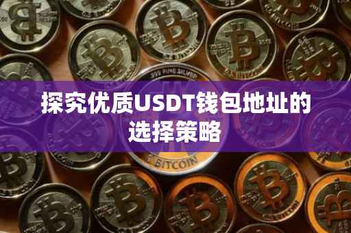 探究优质USDT钱包地址的选择策略