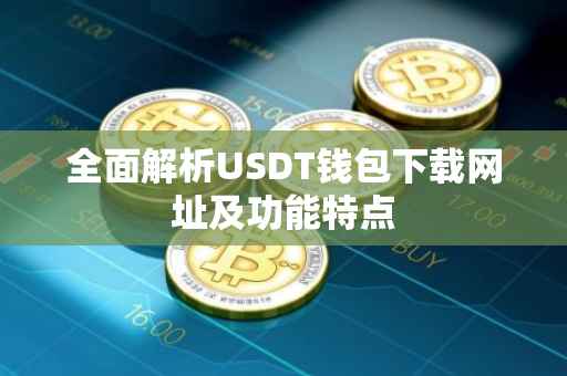 全面解析USDT钱包下载网址及功能特点