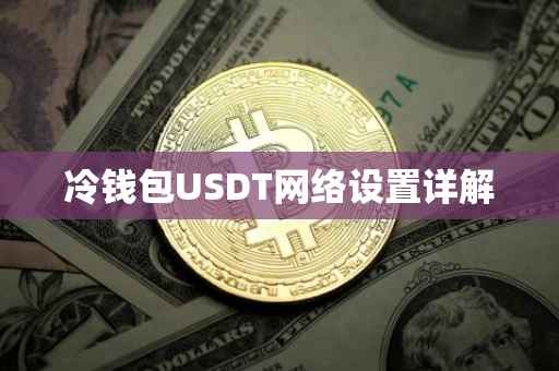 冷钱包USDT网络设置详解