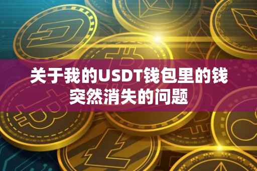 关于我的USDT钱包里的钱突然消失的问题