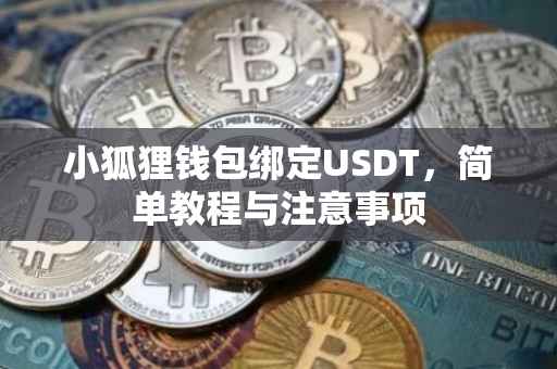 小狐狸钱包绑定USDT，简单教程与注意事项