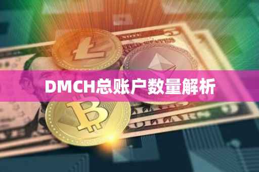 DMCH总账户数量解析