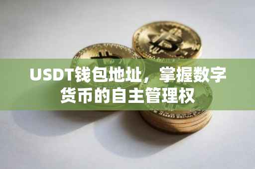 USDT钱包地址，掌握数字货币的自主管理权