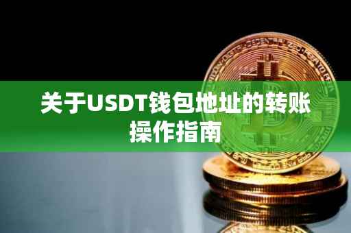 关于USDT钱包地址的转账操作指南