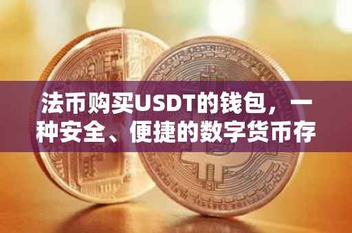 法币购买USDT的钱包，一种安全、便捷的数字货币存储方式