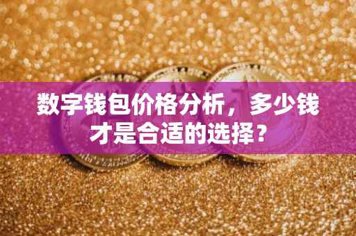 数字钱包价格分析，多少钱才是合适的选择？