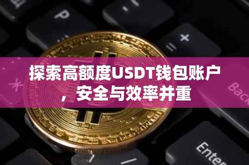 探索高额度USDT钱包账户，安全与效率并重