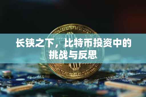 长铗之下，比特币投资中的挑战与反思