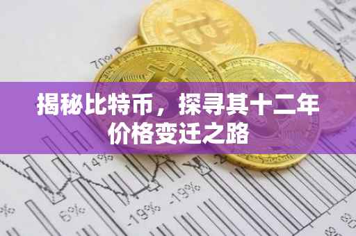 揭秘比特币，探寻其十二年价格变迁之路