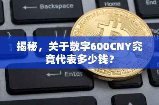 揭秘，关于数字600CNY究竟代表多少钱？