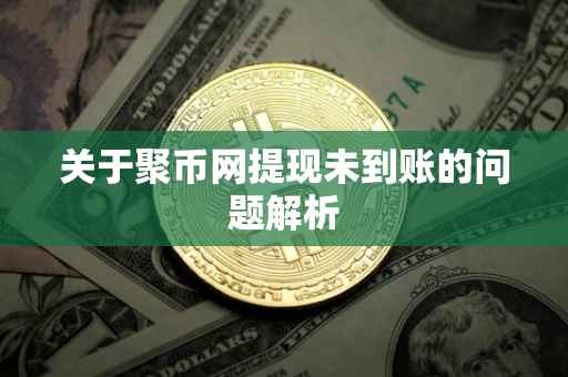 关于聚币网提现未到账的问题解析