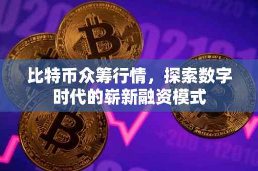 比特币众筹行情，探索数字时代的崭新融资模式