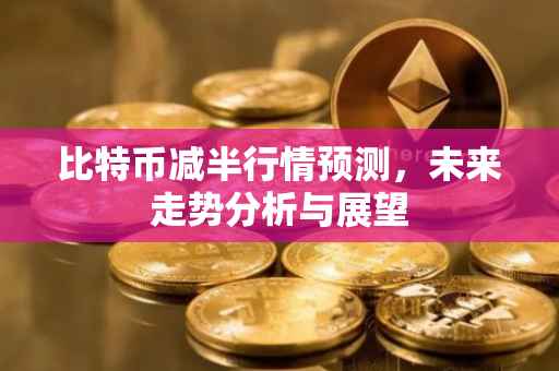 比特币减半行情预测，未来走势分析与展望