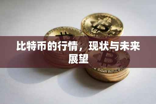 比特币的行情，现状与未来展望