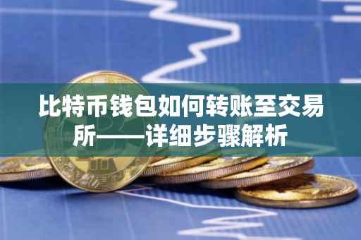 比特币钱包如何转账至交易所——详细步骤解析