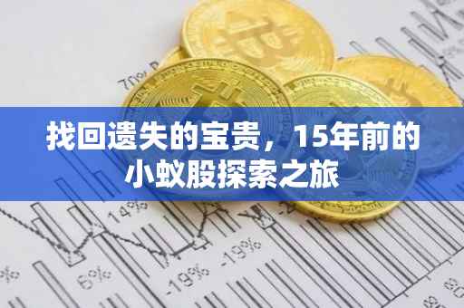 找回遗失的宝贵，15年前的小蚁股探索之旅