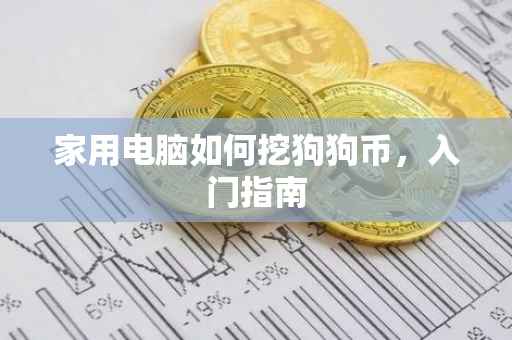 家用电脑如何挖狗狗币，入门指南