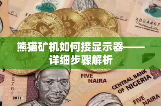 熊猫矿机如何接显示器——详细步骤解析