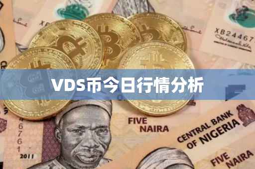 VDS币今日行情分析