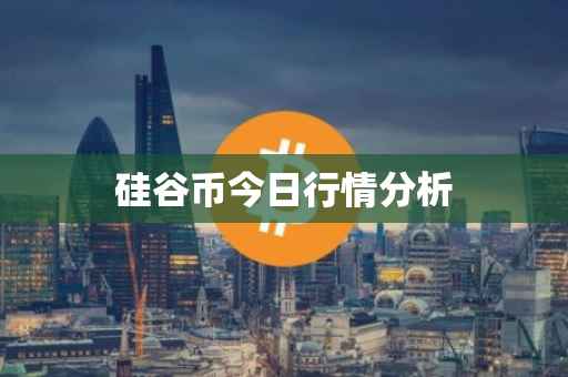 硅谷币今日行情分析