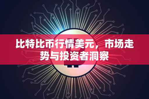 比特比币行情美元，市场走势与投资者洞察