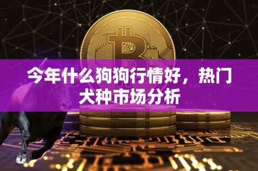今年什么狗狗行情好，热门犬种市场分析