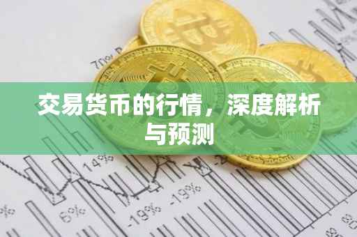 交易货币的行情，深度解析与预测