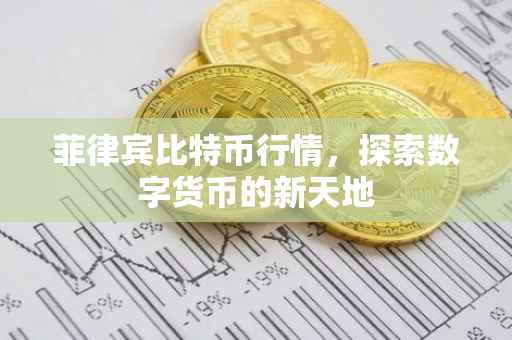 菲律宾比特币行情，探索数字货币的新天地